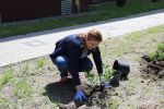Miniatura zdjęcia: Prace w ogrodzie przy filii Szpitala Na Wyspie oraz DPS-u w Lubsku